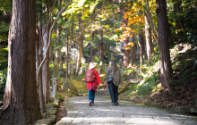 Beauty of Japan4