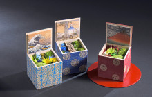 Beauty of Japan2