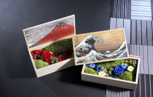 Beauty of Japan3