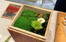 Beauty of Japan4