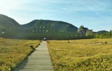 Beauty of Japan9