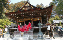 Beauty of Japan13