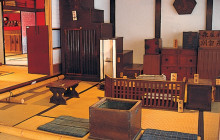 Beauty of Japan14