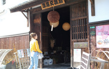 Beauty of Japan13