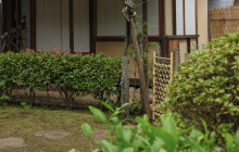Beauty of Japan3