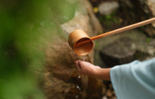Beauty of Japan4