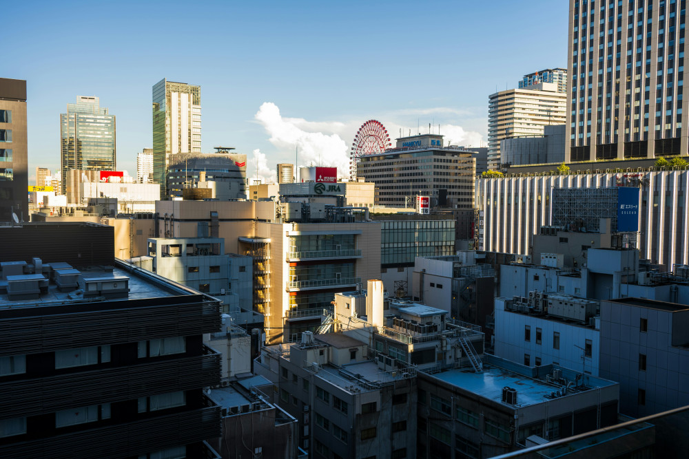 Osaka in 4 Hours: Highlights Tour with Private Vehicle