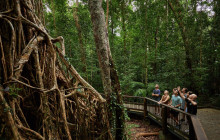 Barefoot Tours7