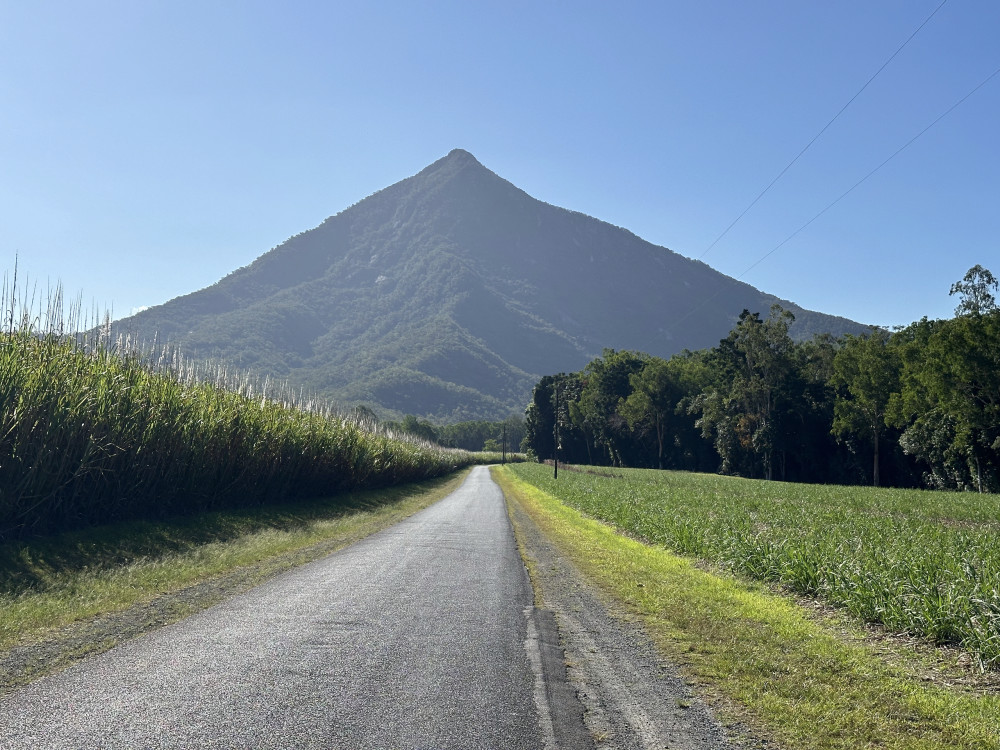 Waterfalls & Rainforest Explorer Tour