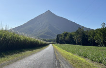 Barefoot Tours6