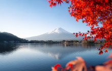Beauty of Japan2