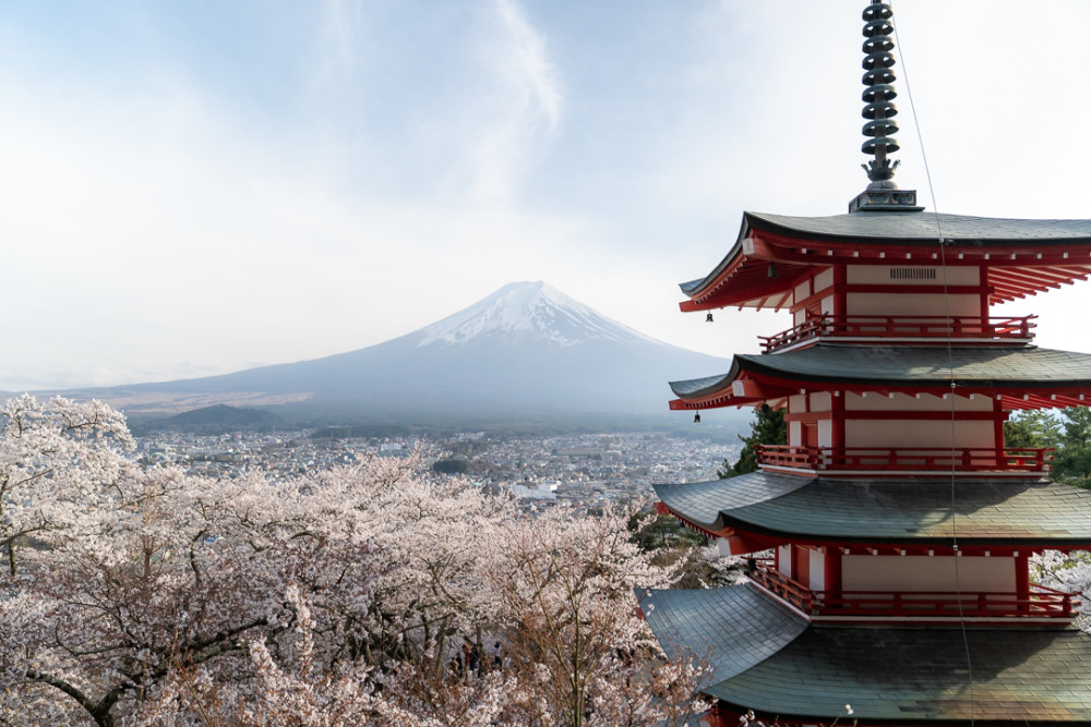 Private Mt. Fuji One Day Tour by Chartered Vehicle from Tokyo