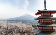 Beauty of Japan1
