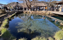 Beauty of Japan3