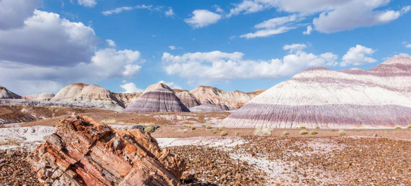 Petrified Forest National Park Self-Guided GPS Audio Tour