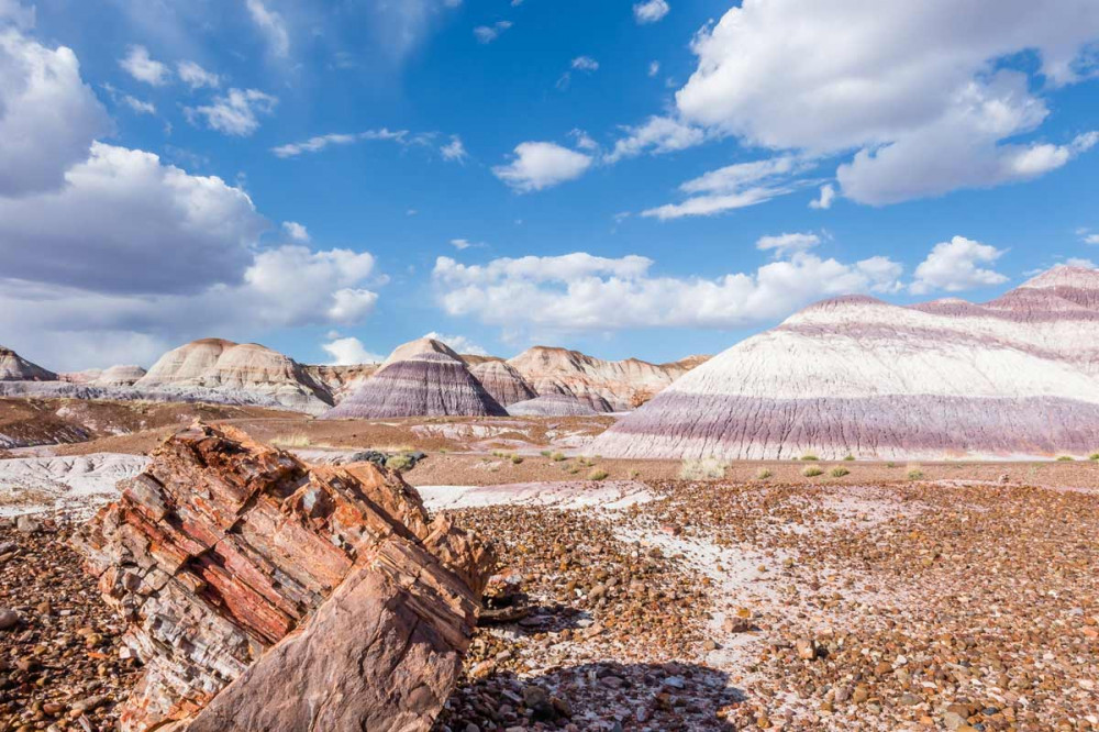 Petrified Forest National Park Self-Guided GPS Audio Tour