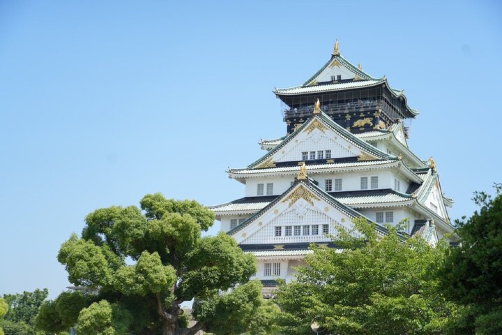 Early Morning Walking Tour of Osaka Castle, Markets & Dotonbori