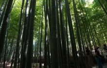 GuideMe Japan5