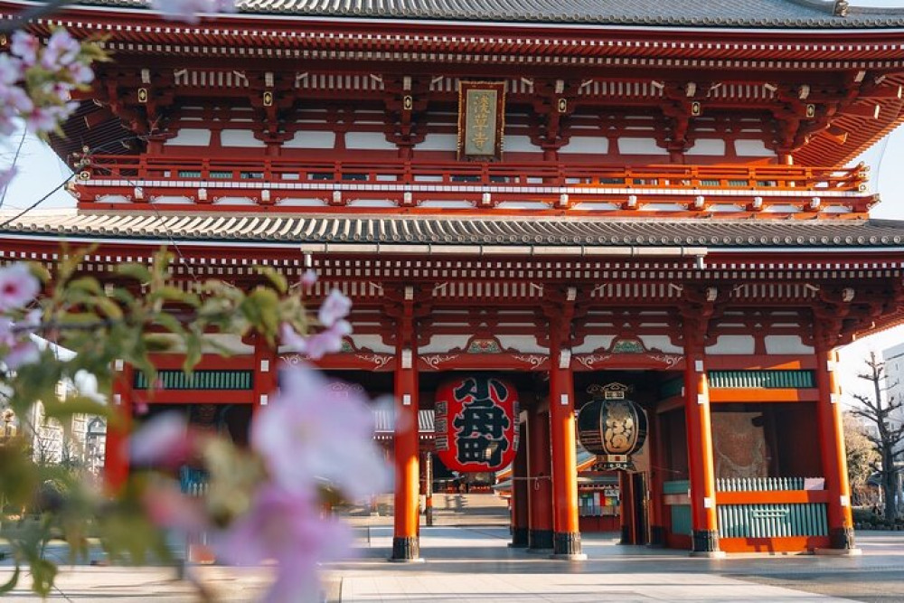 Early Morning Private Tokyo Tour of Asakusa, Tsukiji & Meiji Shrine