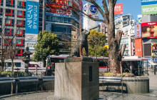 GuideMe Japan8
