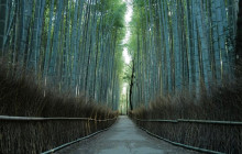 GuideMe Japan1