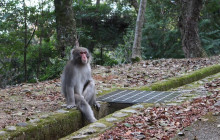 GuideMe Japan4