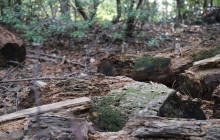 GuideMe Japan6