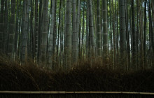 GuideMe Japan6