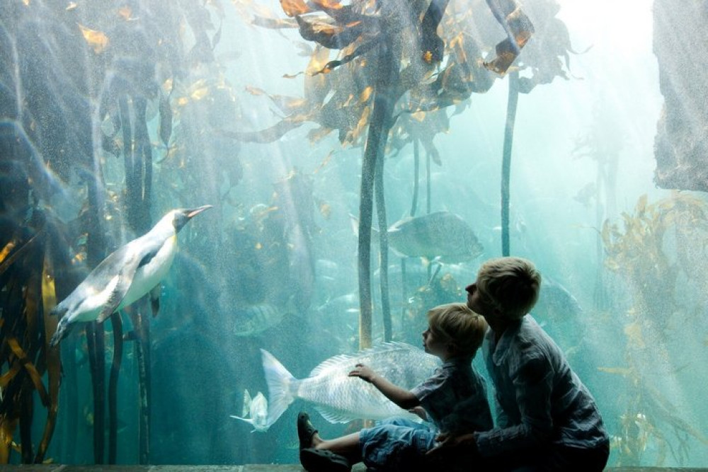 Private Kids and Family Tour Aquarium Farm and Chocolate