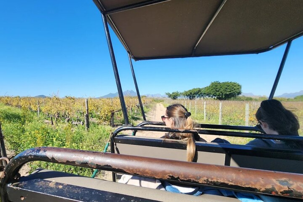 Private Safari Game Drive with Table Mountain Experience