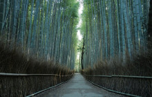 GuideMe Japan3