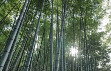 GuideMe Japan21