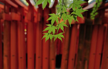 GuideMe Japan24
