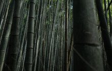 GuideMe Japan36