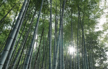 GuideMe Japan37