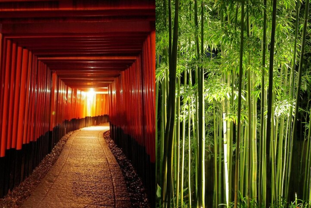 Fushimi Inari Shrine & Arashiyama Bamboo Forest Night Tour