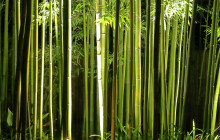 GuideMe Japan7