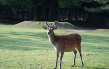 GuideMe Japan15