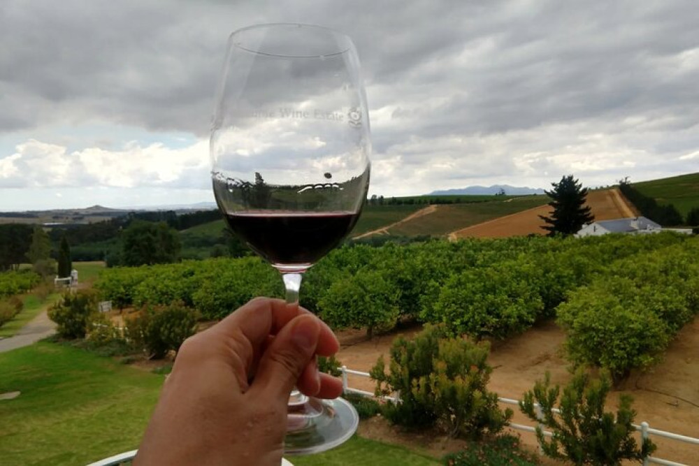 Paarl, Franschhoek and Stellenbosch Vineyards Wine Tour