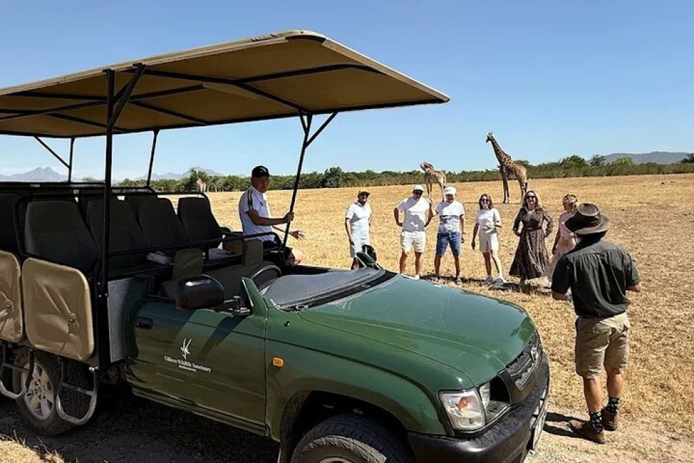 Private Wildlife & Premium Wine Tour Stellenbosch