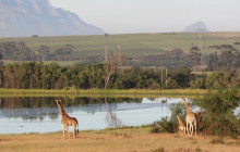 shine the way tours19