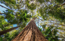 Autopia Tours (Victoria/New South Wales/Queensland)28