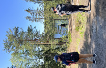 Taiga Times4