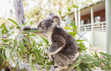 Autopia Tours (Victoria/New South Wales/Queensland)10