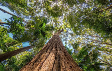 Autopia Tours (Victoria/New South Wales/Queensland)20
