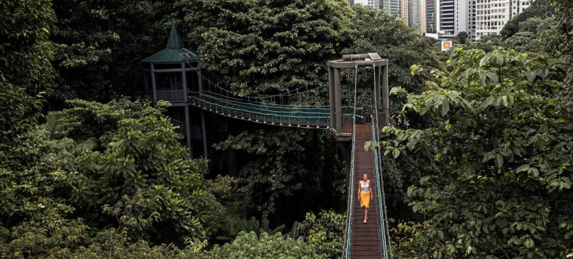 Kuala Lumpur Historical Chinatown Tour (Half Day)