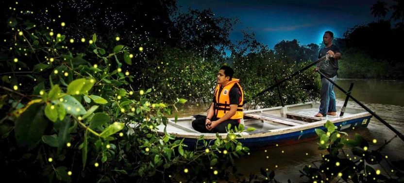 Kuala Lumpur Fairy Firefly And Monkey Hill Tour
