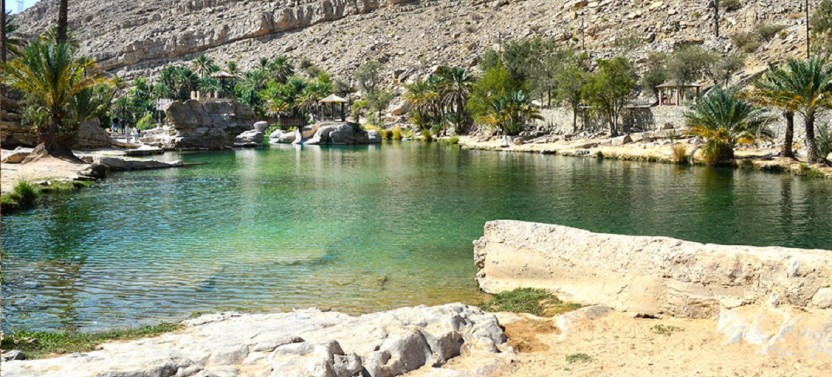 Desert and Oasis: Full Day Wahiba Sands & Wadi Bani Khalid Tour