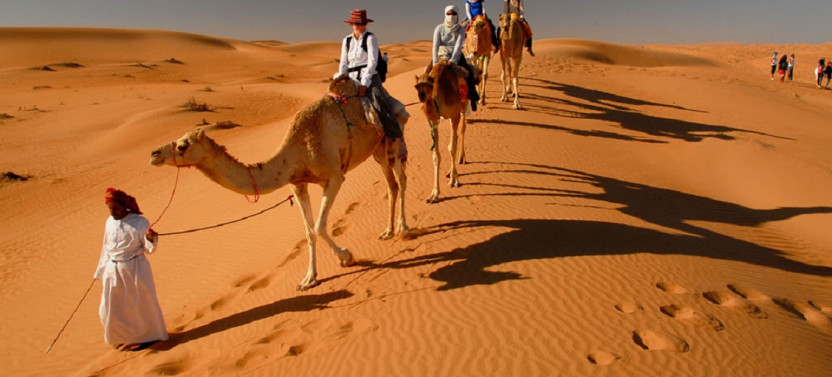 Desert and Oasis: Full Day Wahiba Sands & Wadi Bani Khalid Tour