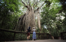 Autopia Tours (Victoria/New South Wales/Queensland)16